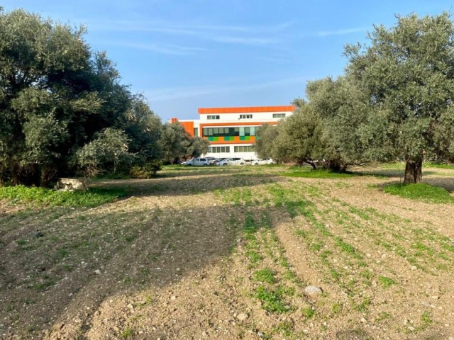 Grundstück zum Verkauf hinter dem Doğa College in Ozanköy