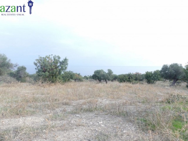 Land With Stunning Views For Sale In Kayalar