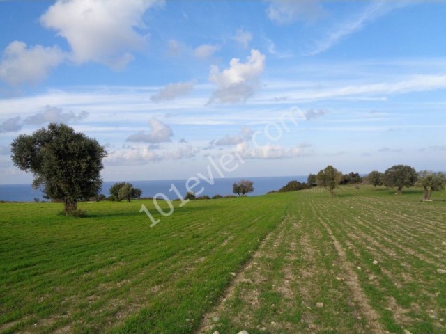 Great Plot With Stunning Views