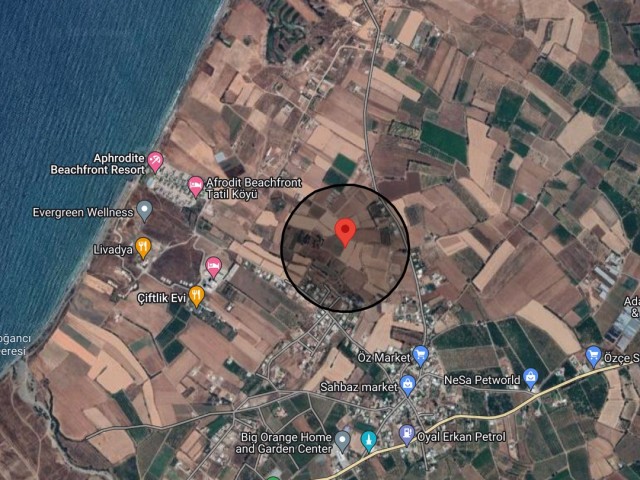 7 acres suitable for investment with Turkish title in Gaziveren