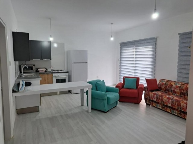 3+1 Apartment for Rent in Famagusta Karakol District