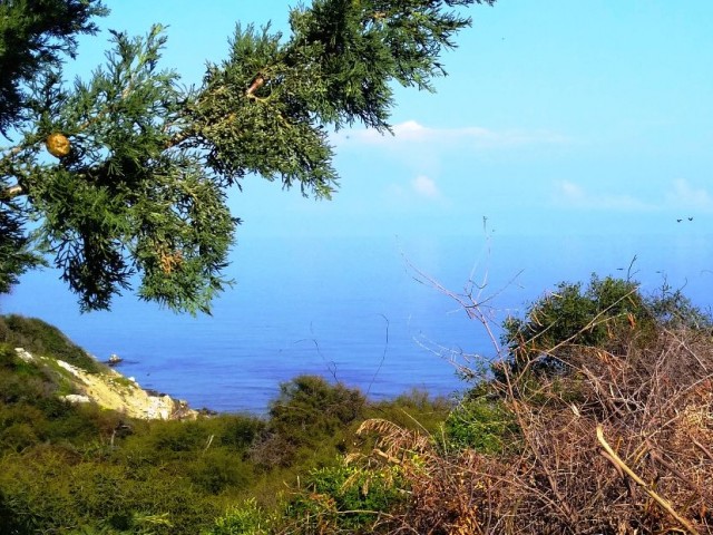 Gegen das Meer in Ozanköy, Kyrenia, ein wunderbarer Meerblick.  Einfacher Zugang, ruhiger Ort