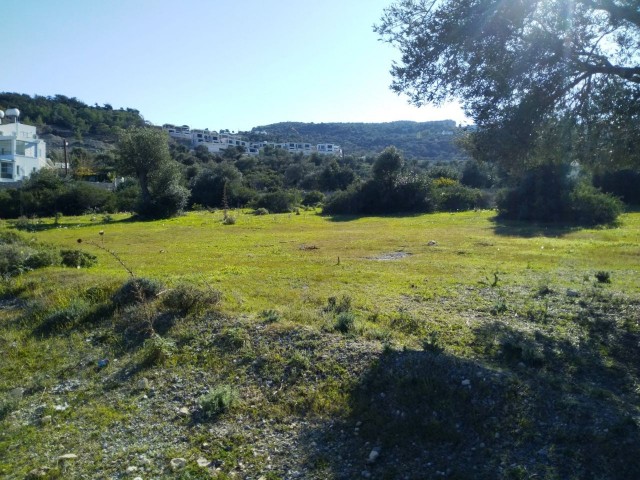 11,001 m2 land in Kyrenia Kayalar region, great land with mountain, sea view, suitable for developers. 