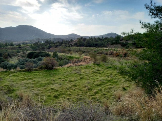 Lefke -Land for Sale in Yeşilırmak with a Turkish Title, Open to All Types of Construction! The Infrastructure Is Ready (Open for Exchange With Nicosia Villa) ** 