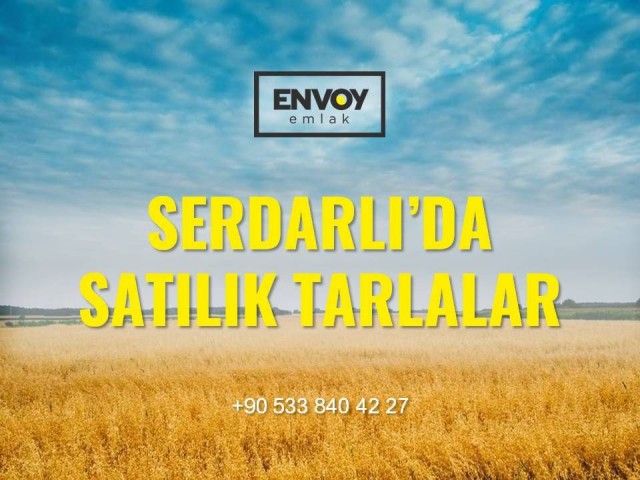 Fields for Sale on the Main Road in Serdarlı (31 Acres, 11 Acres, 14 Acres and 11 Acres) (Agricultur