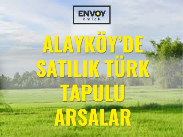 Alayköyde Türk Koçanlı Satılık Sanayi Arsaları