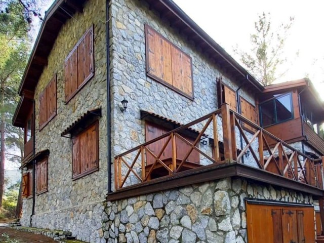 گیرنه-یک خانه سنگی چوبی منحصر به فرد در جنگلی که با طبیعت فراتر از بهشت درختان نارون در هم تنیده شده است. ** 