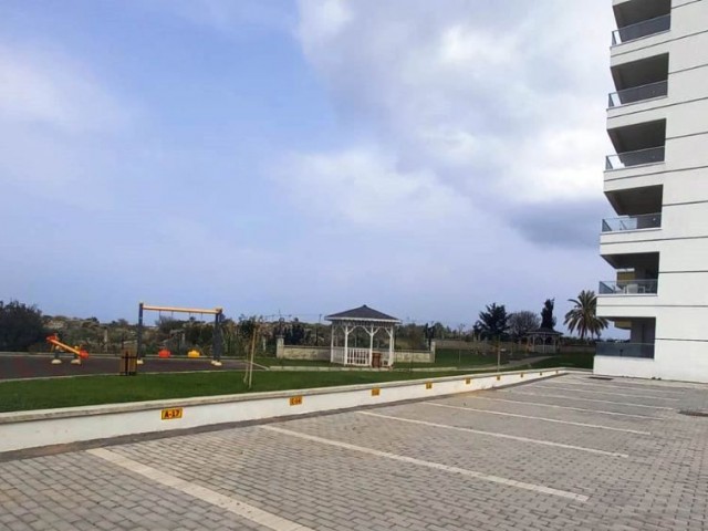 مرکز گیرنه -3 + 1 اپارتمان بزرگ ساخته شده از پانوراما ترکیه در یک اقامتگاه لوکس در کنار دریا. **  ** 