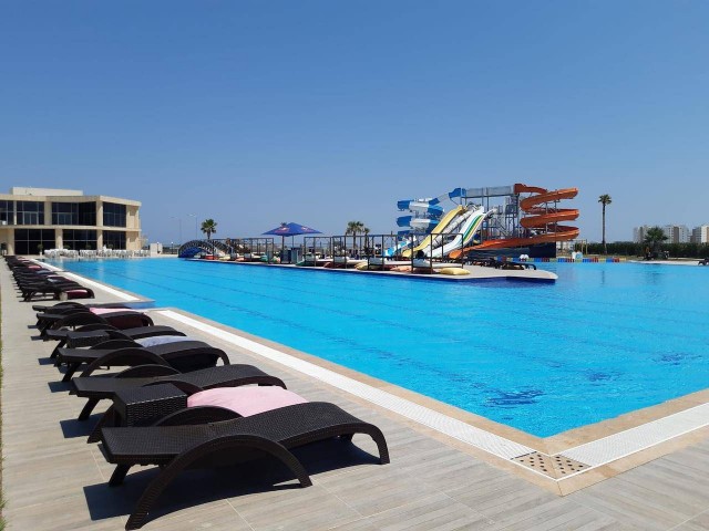 The Paradise of the TRNC is a dream-like life on the pier and the opportunity to win back. **  ** 