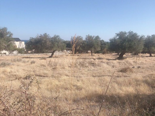 3000 M2 Grundstück zum Verkauf in Kyrenia YESILTEPE.. ** 