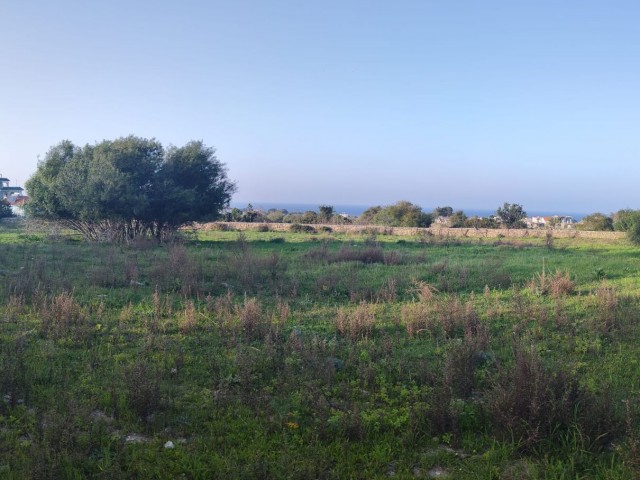 6 ACRES OF LAND WITH COMMERCIAL PERMIT ON THE MAIN ROAD IN GİRNE KARŞIYAKA !!!