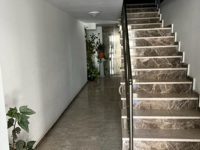NEW 2+1 APARTMENT FOR RENT IN THE CENTER OF CTC GUINEA 