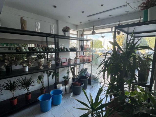 Shop For Sale in Kumsal, Nicosia
