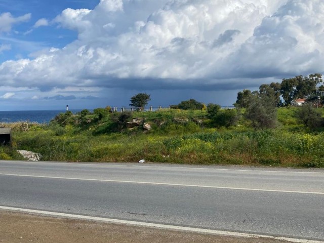 3 houses 2500ay2 land for sale in GIRNE/LAPTA