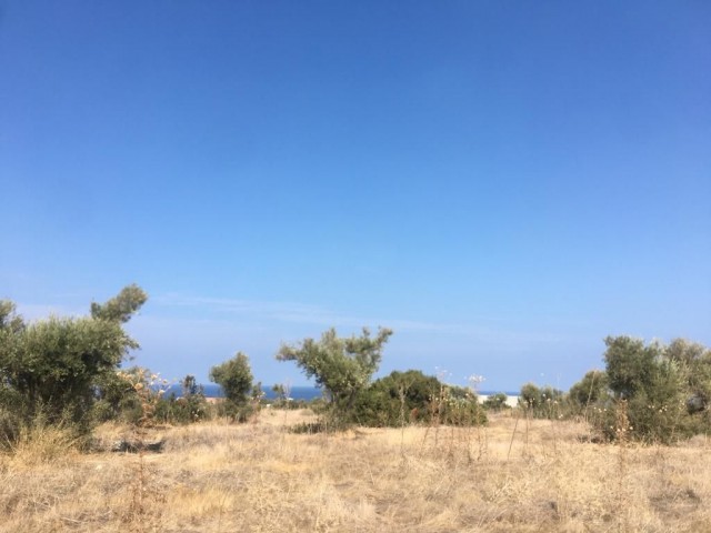 7 acres of land for sale in Girne\Besparmak, 150 meters from the main road 