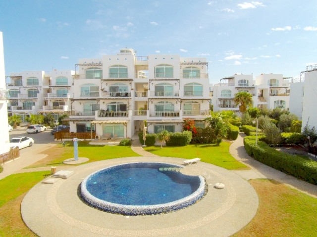Daily rent in Aphrodite