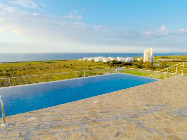 Daily rent in Aphrodite ** 