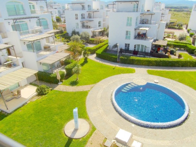Daily rent in Aphrodite