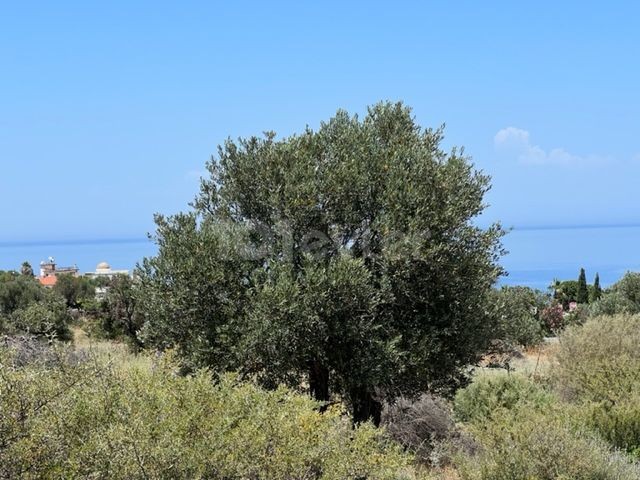 8 Acres of 1 evlek land on the main road in Kyrenia, Kayalar village. 05338403555 ** 