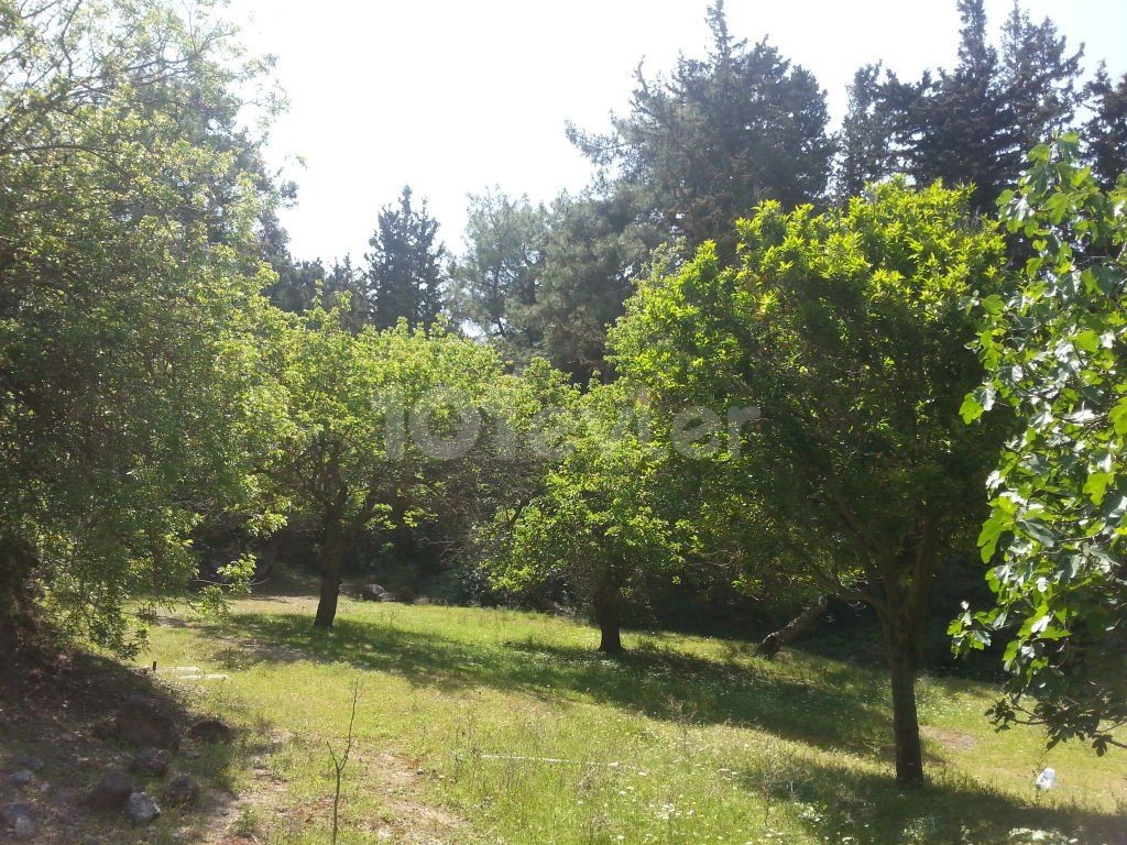 Villa To Rent in Karaağaç, Kyrenia