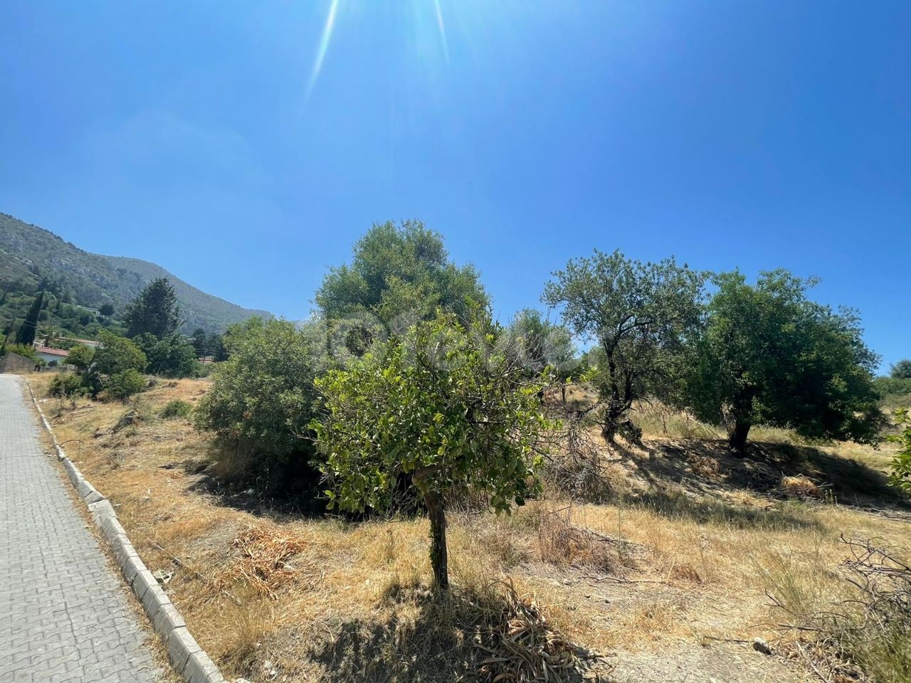 6 Hektar Land zum Verkauf in Kyrenia, Bellapais ** 