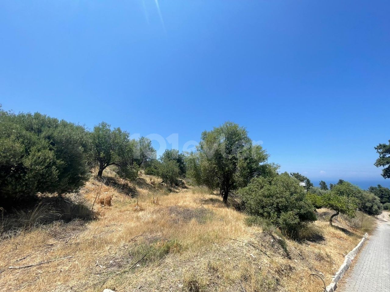 6 Hektar Land zum Verkauf in Kyrenia, Bellapais ** 
