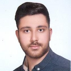 Mehdi Shahpoori Zeki Basri Emlak Property Agent